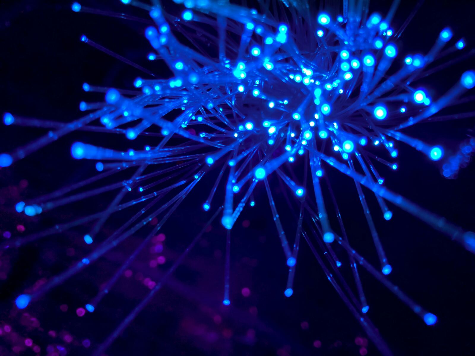 Quantum computing core — the science connecting our global events calendar